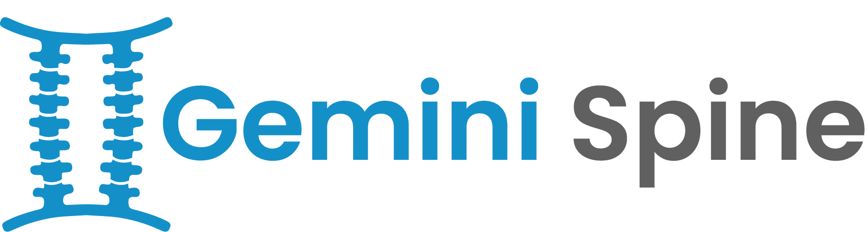 Gemini Spine